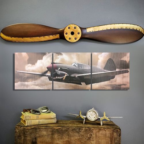 P-40 Warhawk Triptych and Propeller Set